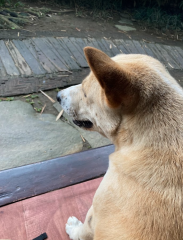 スクリーンショット 2025-12-13 094420.png