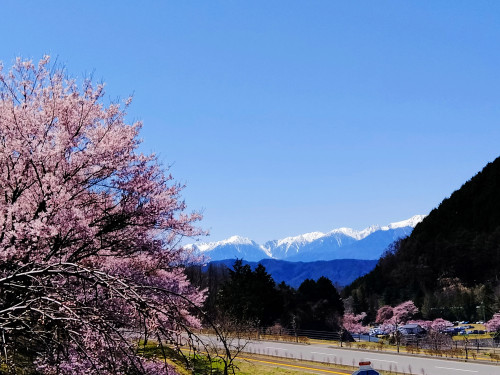 🏡富士見高原ハイジ・ロッジ、営業開始のお知らせ🌸