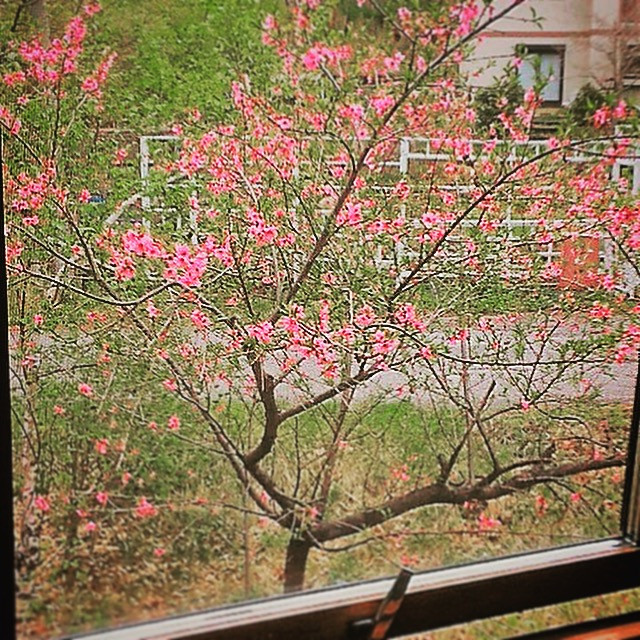 🎏GWゴールデン🌲ウィーク🌸のご予約受付、開始致しました！