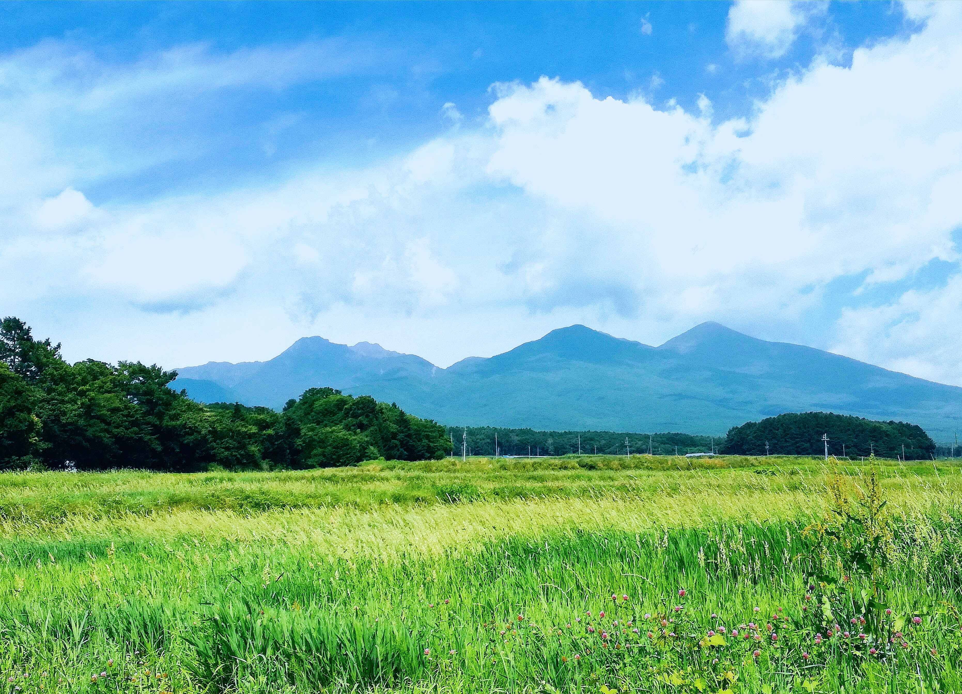 今回は、八ヶ岳の四季を、リール動画🎬をお届けします❤