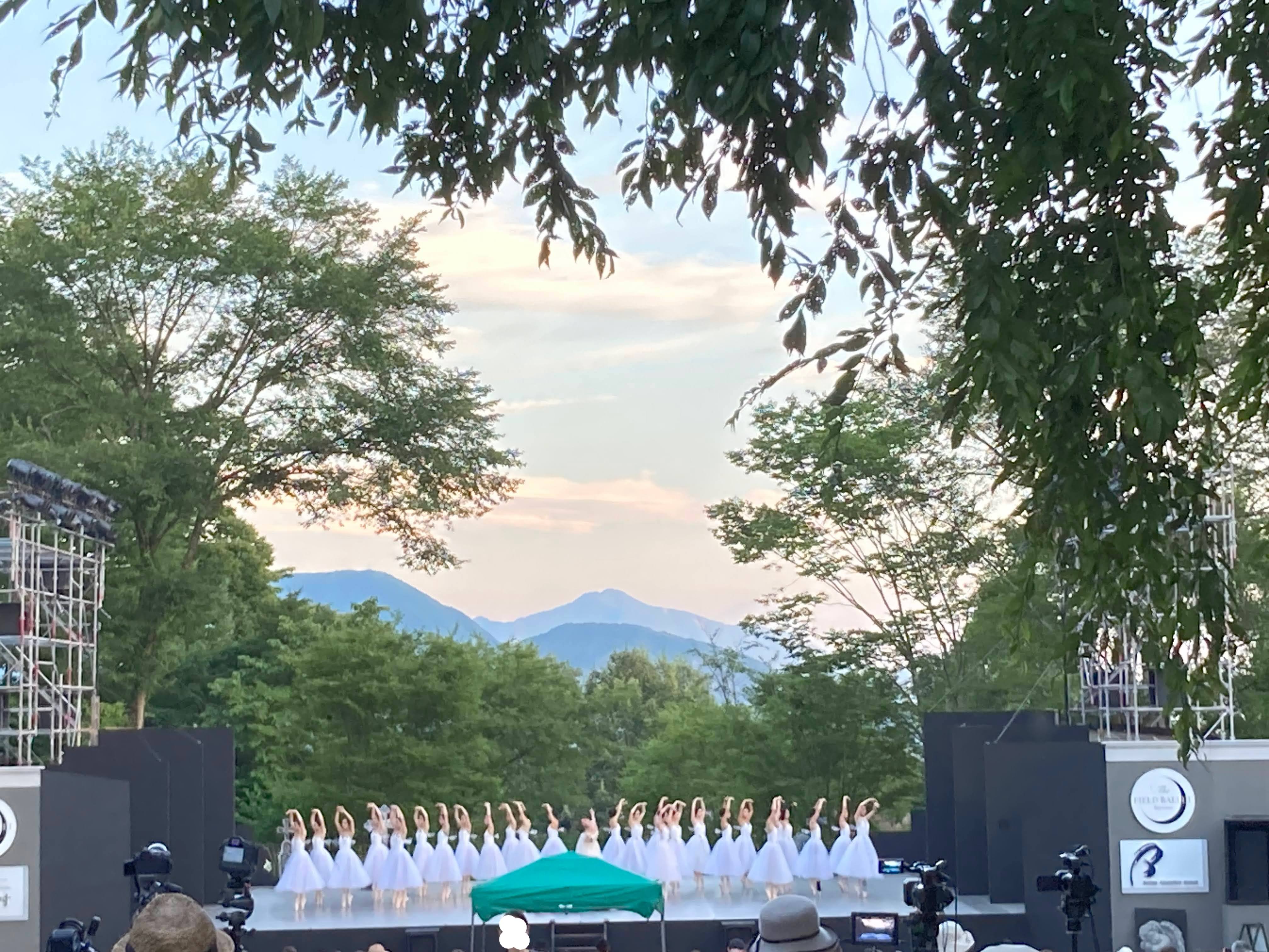 🌻楽しい🍉夏休み🎣⛰のご予約受付、開始いたしました🌲