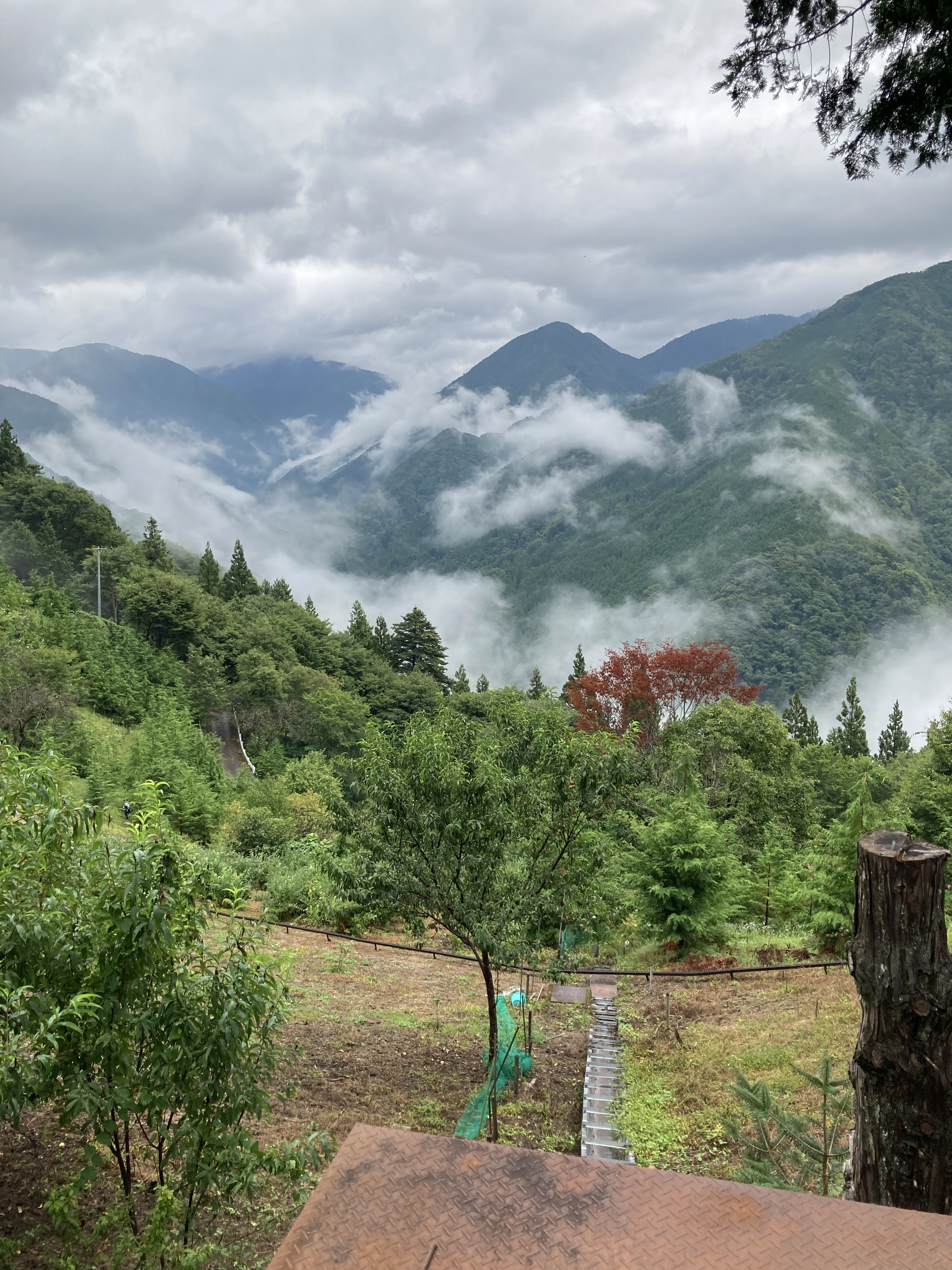 🏔地図の上の一本の線。 その場所を、実際に旅してみました🌲