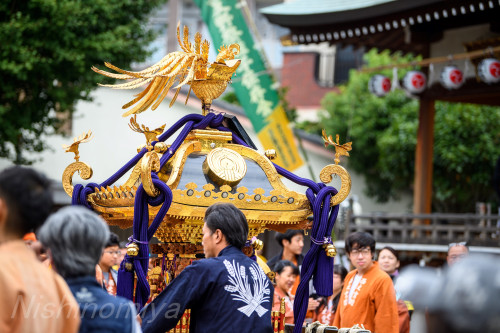 令和６年神輿巡行図