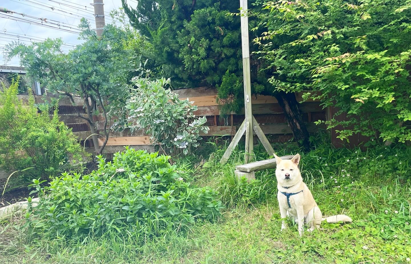 お気をつけてお過ごし下さい！