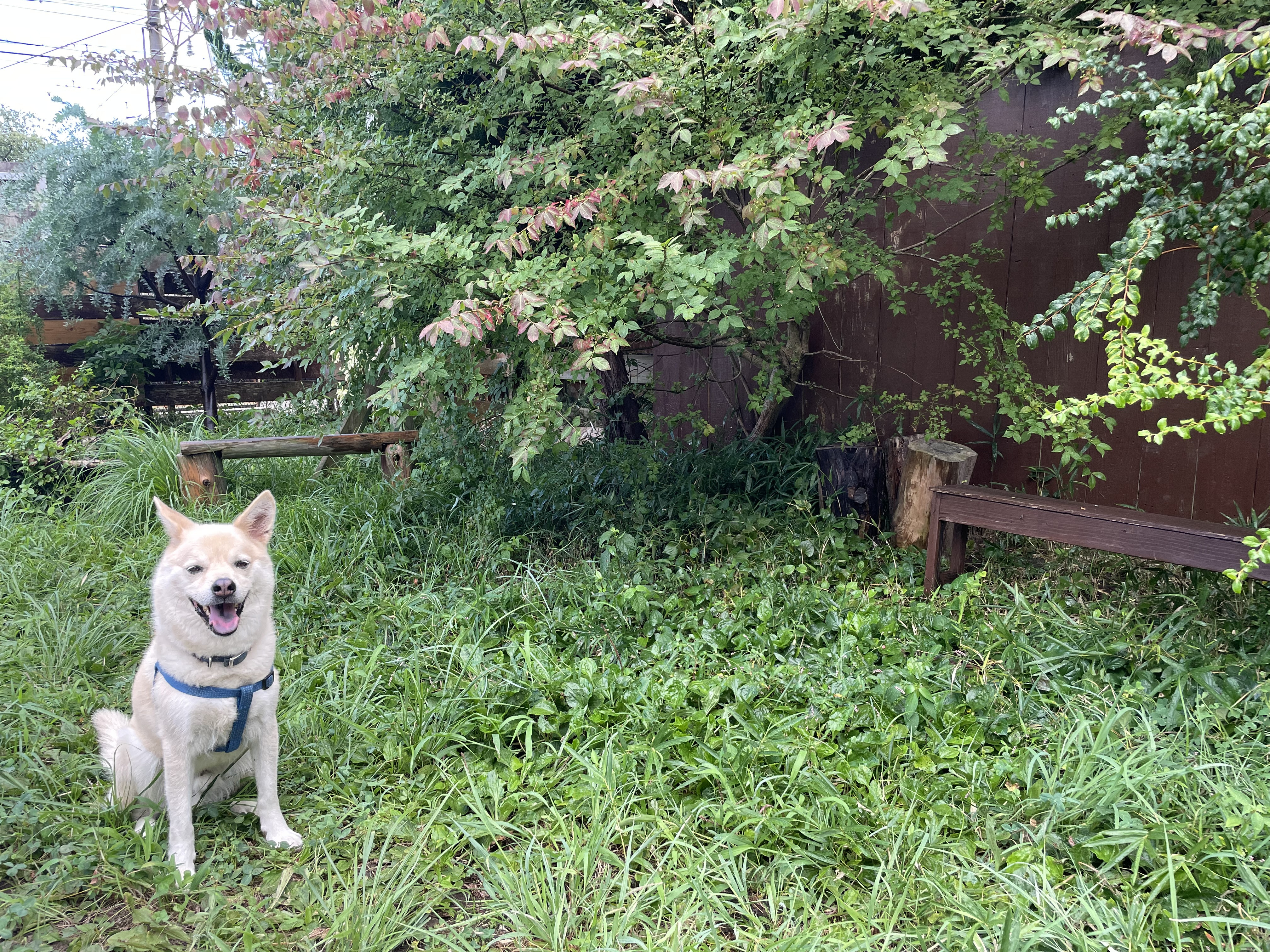 この後土曜日まで…