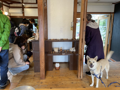 【大磯うつわの日】最終日