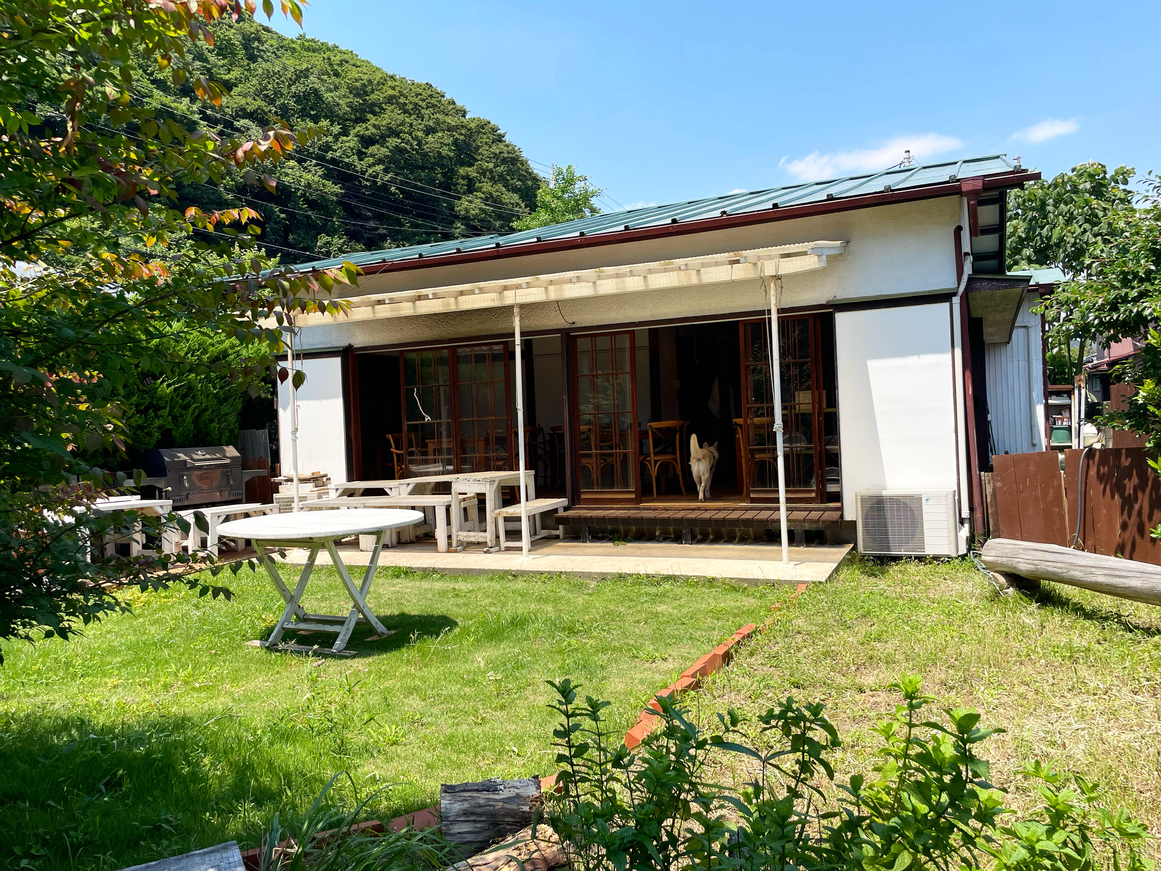 明日から土曜日まで営業します！