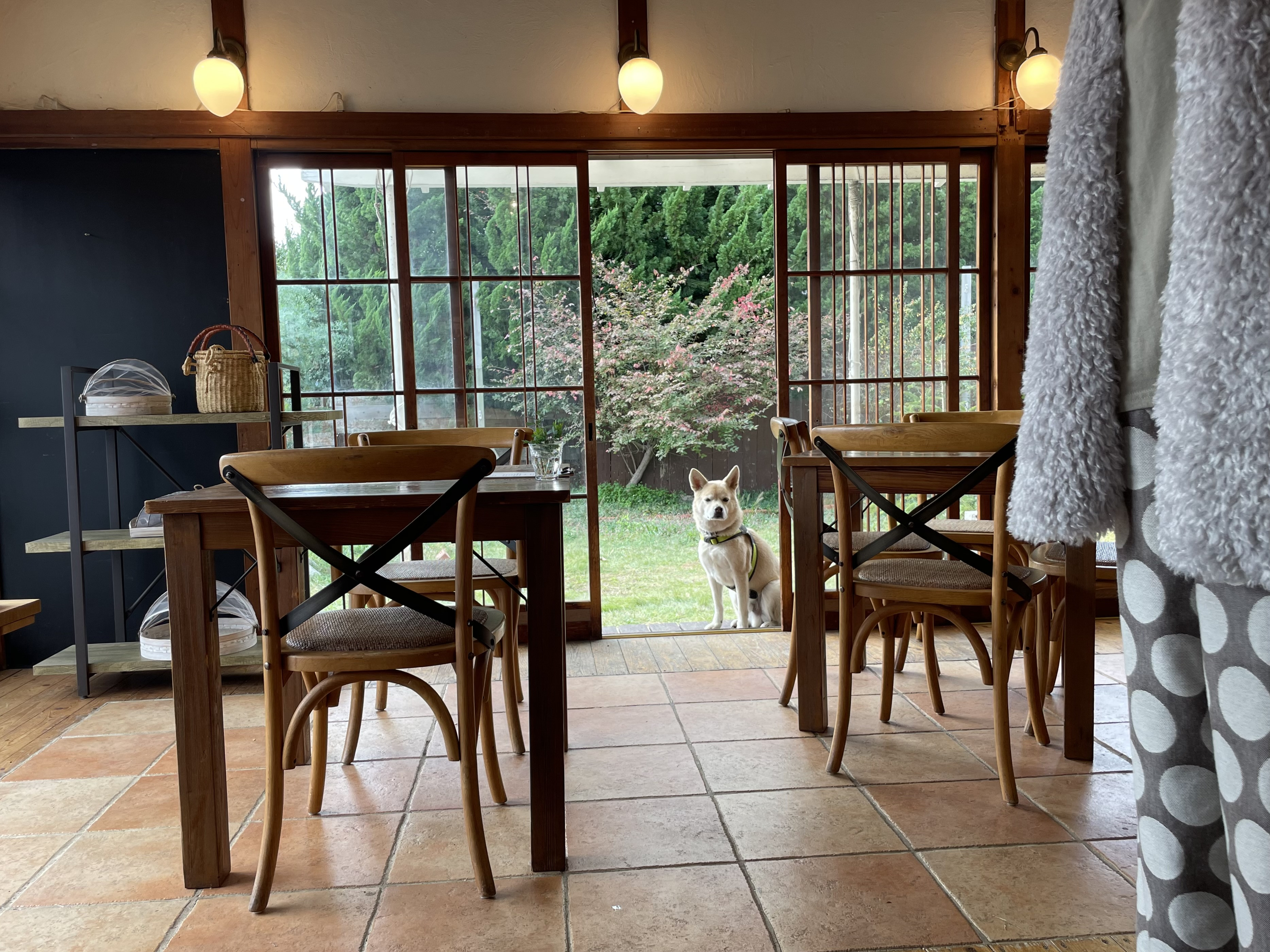 週末土曜日ですね！