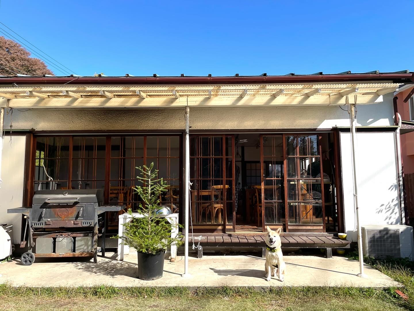 気持ち良く晴れました！