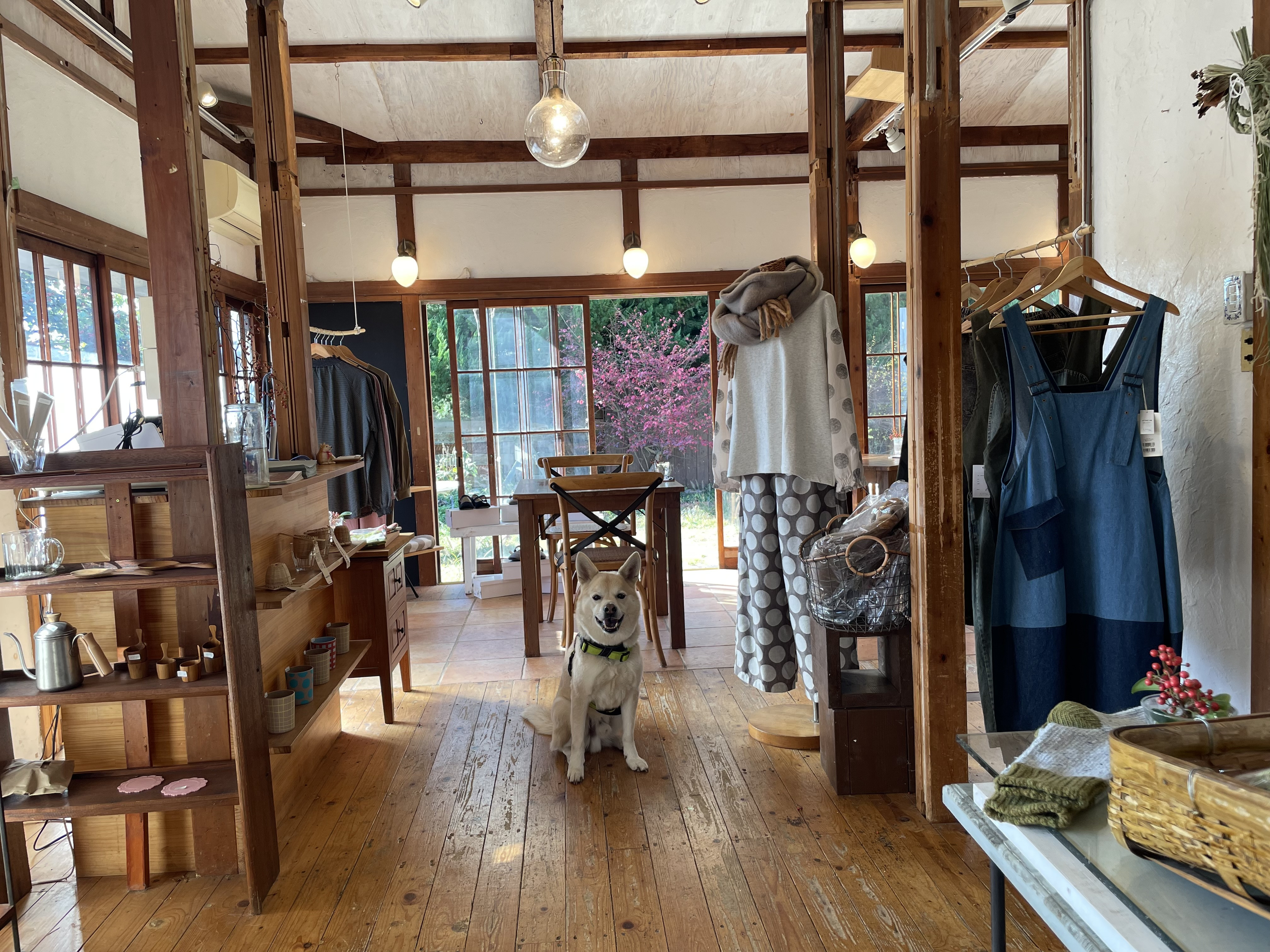 気持ち良く晴れました♩