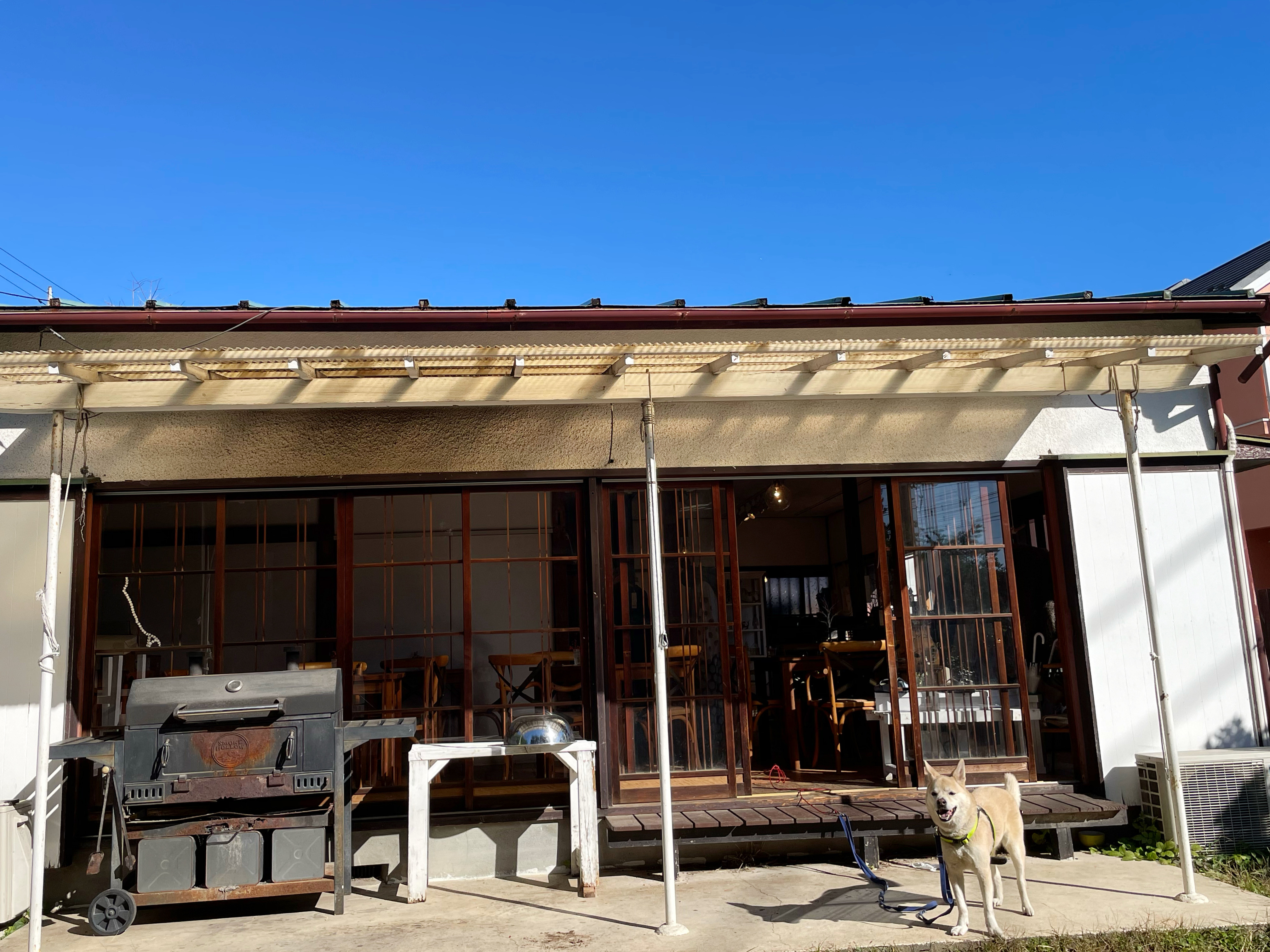 今日も気持ち良く晴れました♩