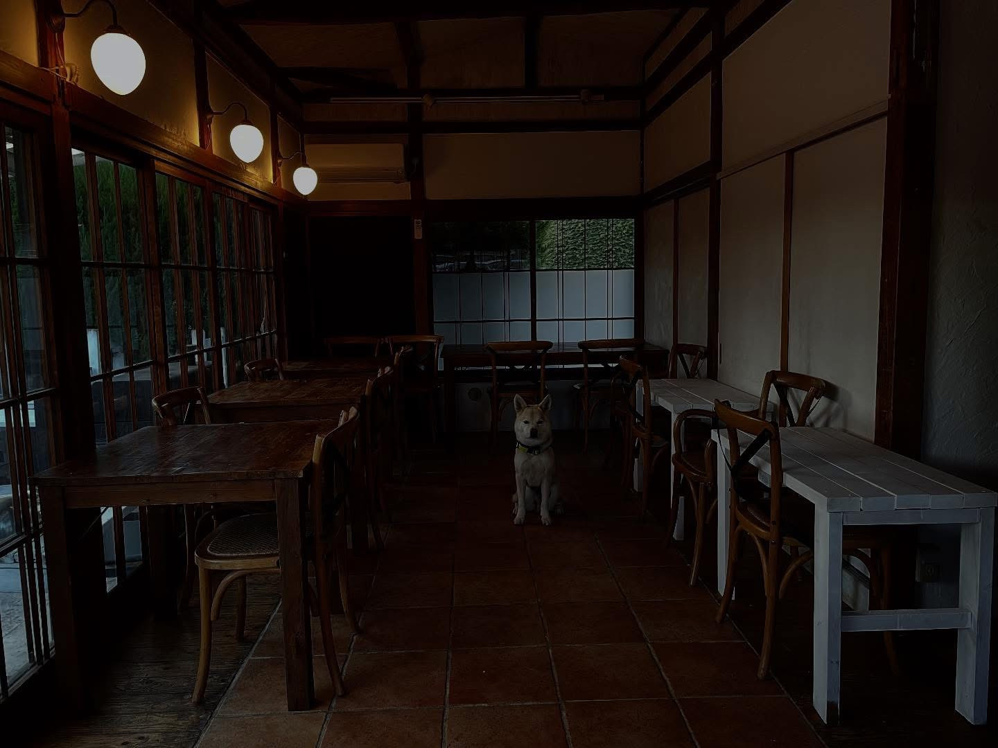 今週もありがとうございました！