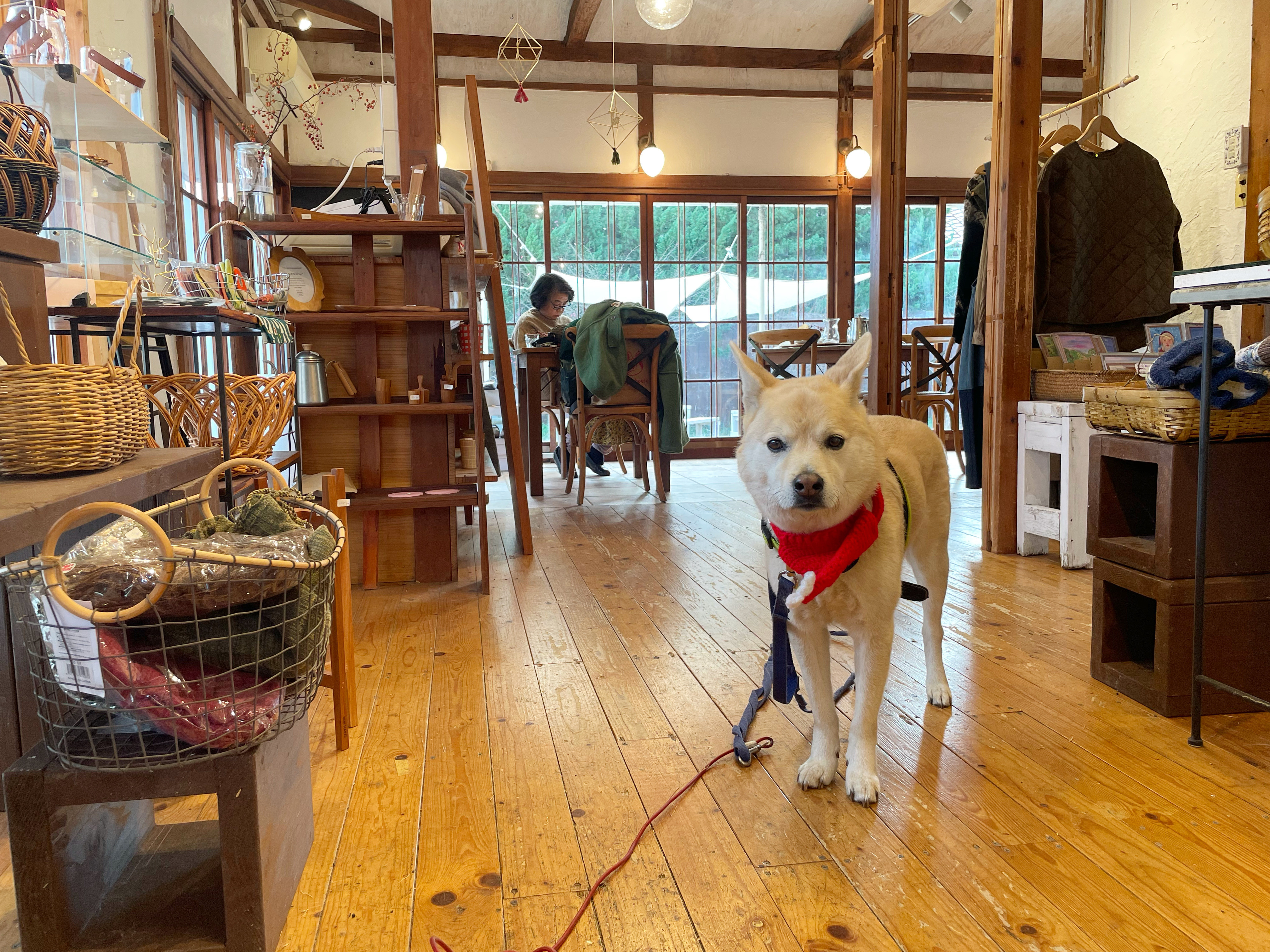 週末土曜日は…