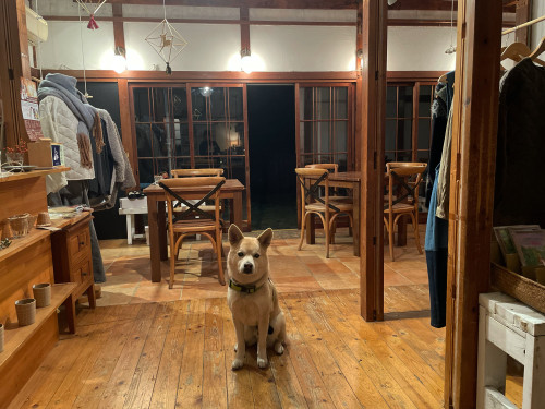 今週もありがとうございました！