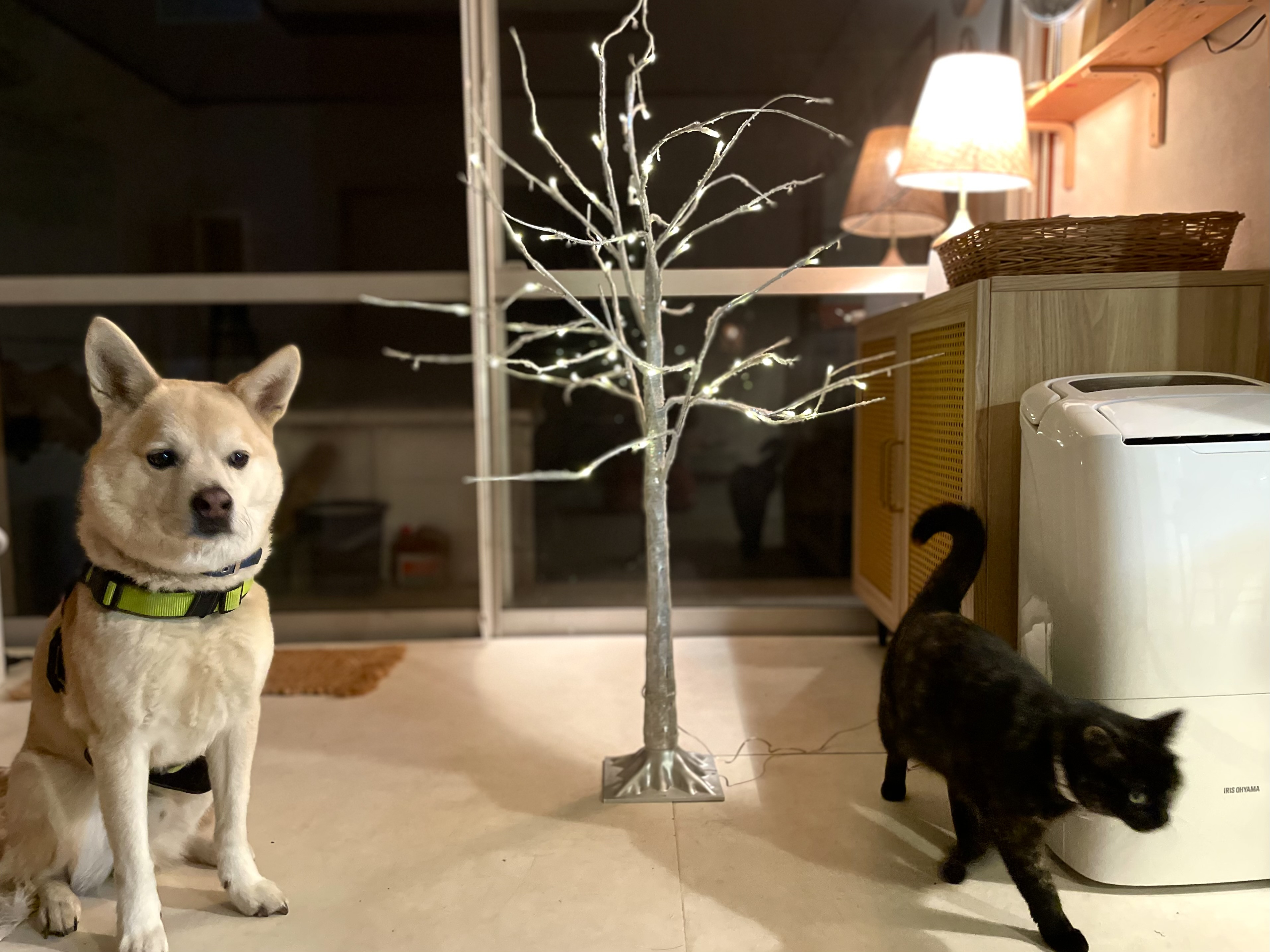 2025年ありがとうございました！