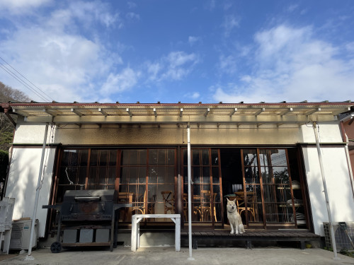 【明日から土曜日まで営業します】