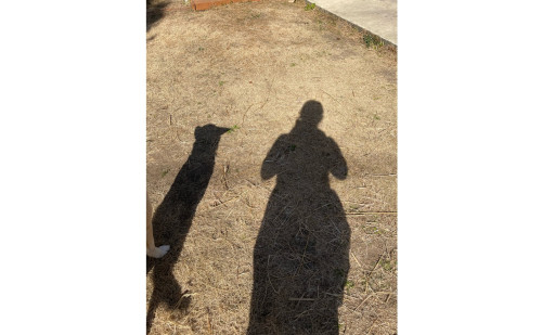 貴重な晴れ間に…