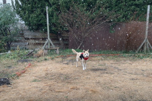 今週もありがとうございました！