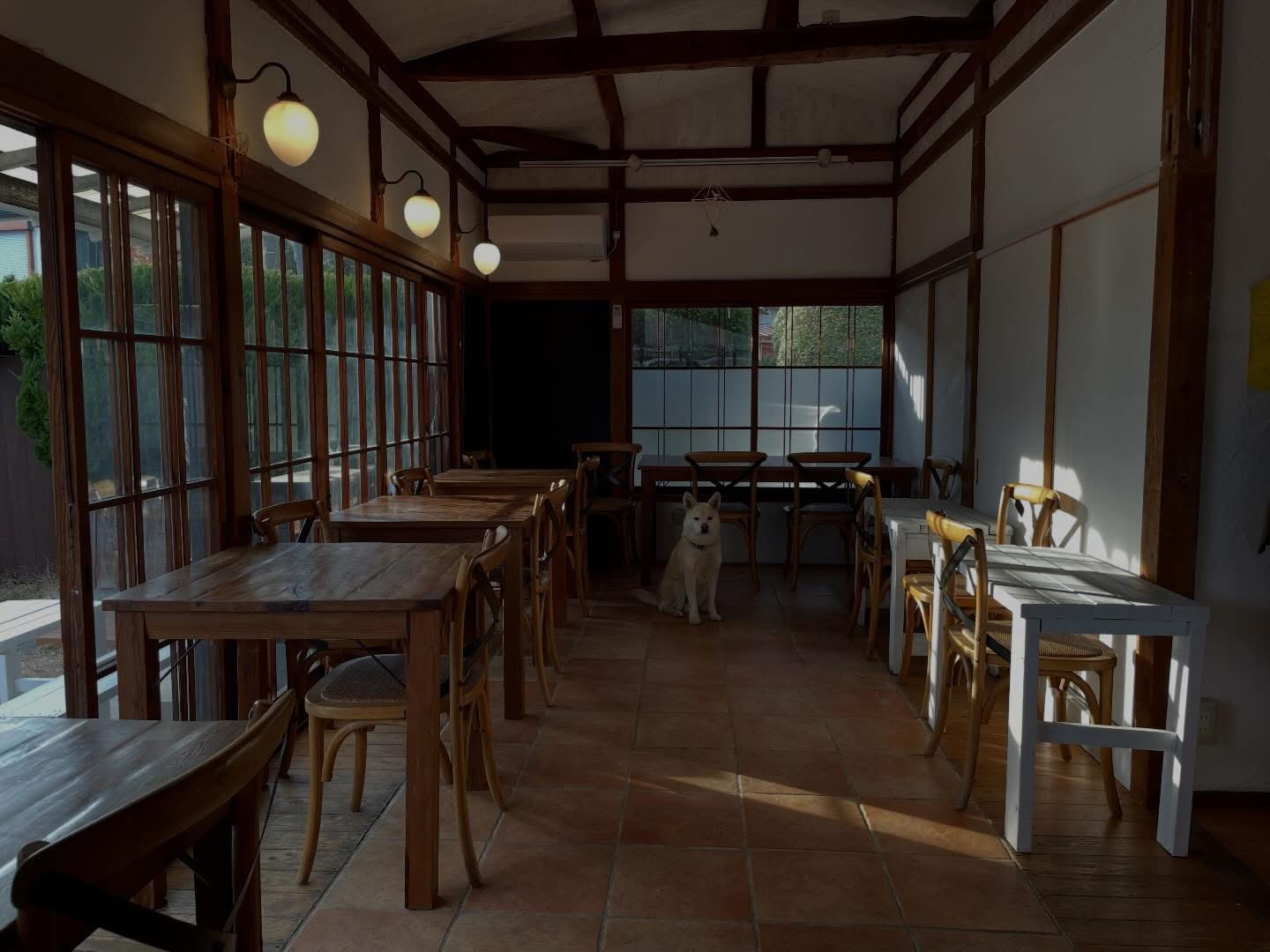 今週もありがとうございました！