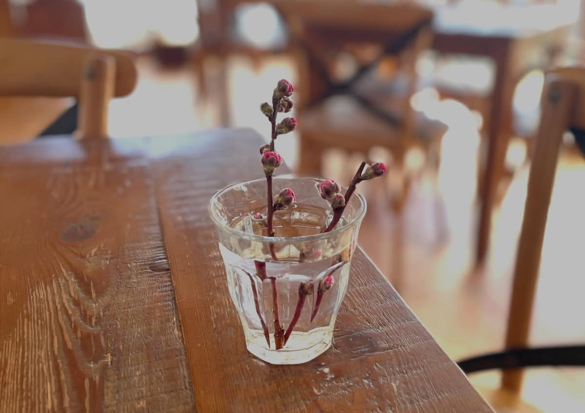 今週もゆるりと…