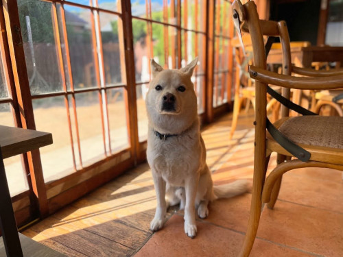 今日も晴れて来ましたね！