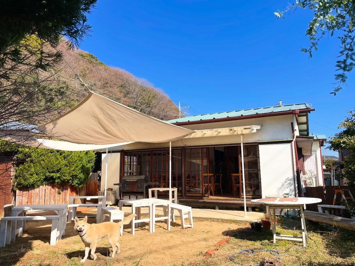 ぽかぽか陽気に誘われて…