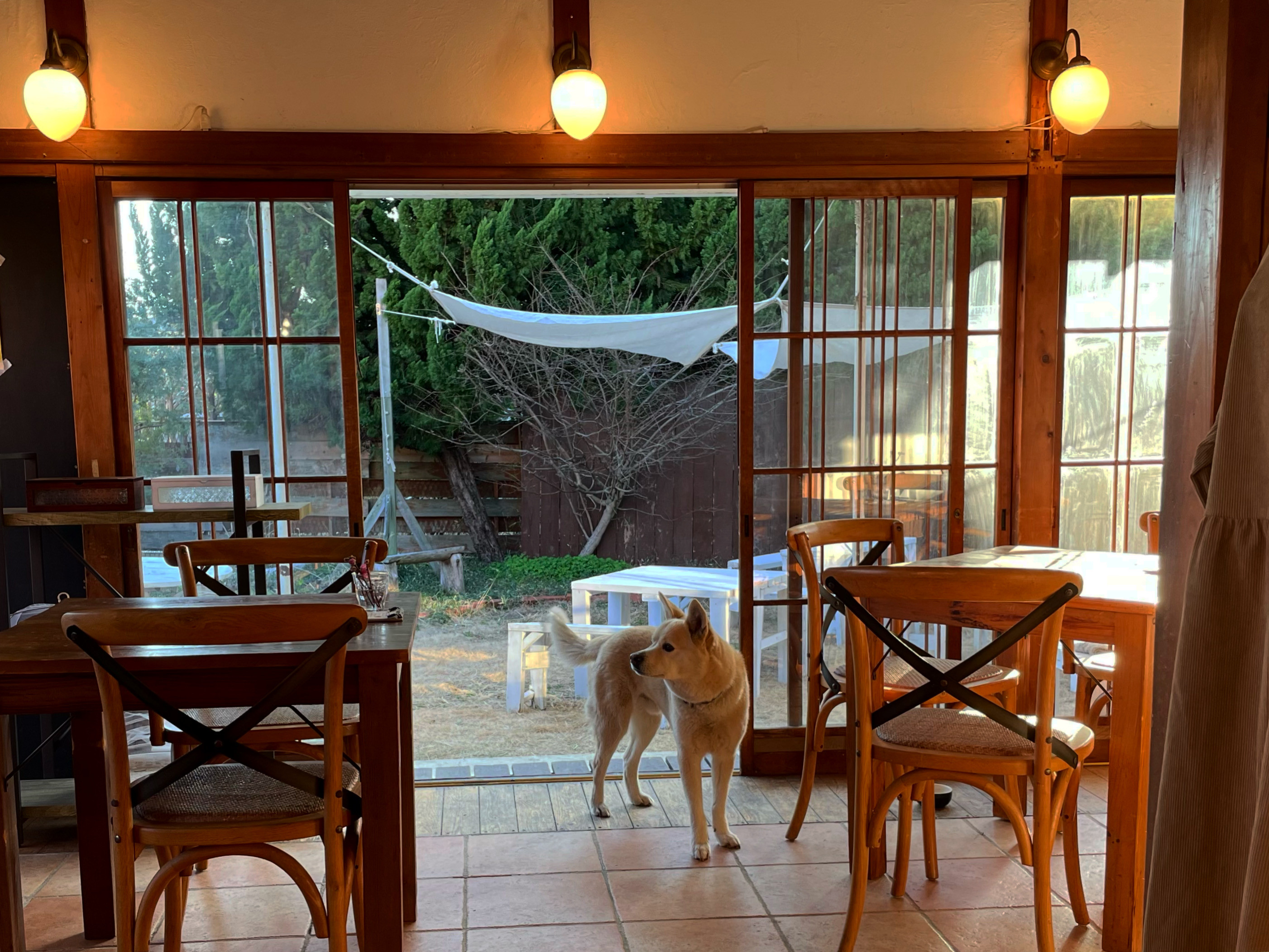 今週もありがとうございました！