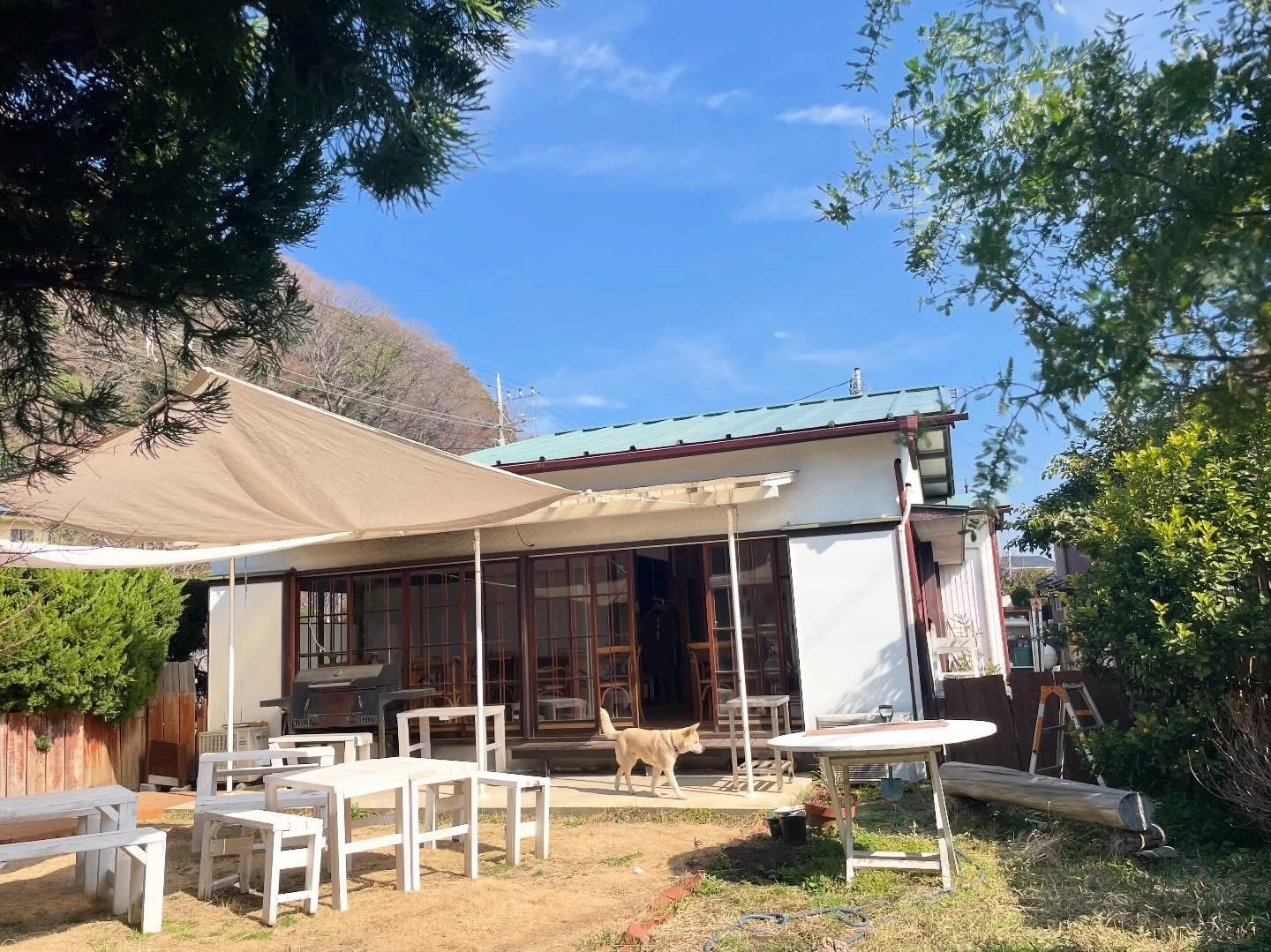 週末土曜日ですねー