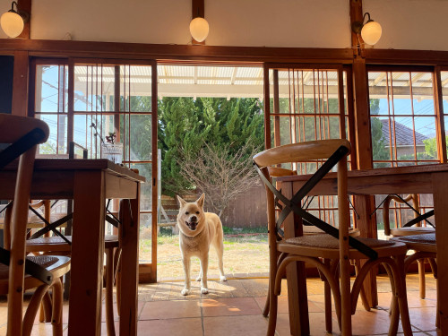 気持ち良く晴れました！