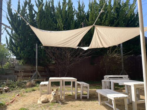 週末土曜日ですね！