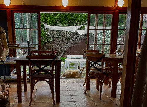 今週もありがとうございました！