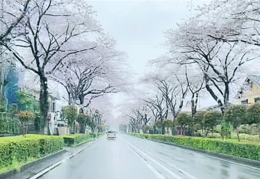 【木曜日、金曜日営業します】  ✳︎土曜日は貸切りです。