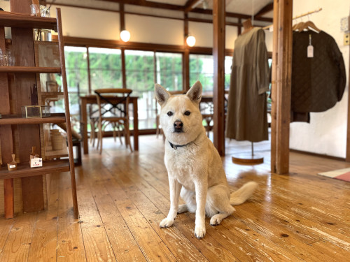 今週もゆるりと…