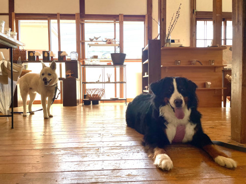 金曜日の今日は…