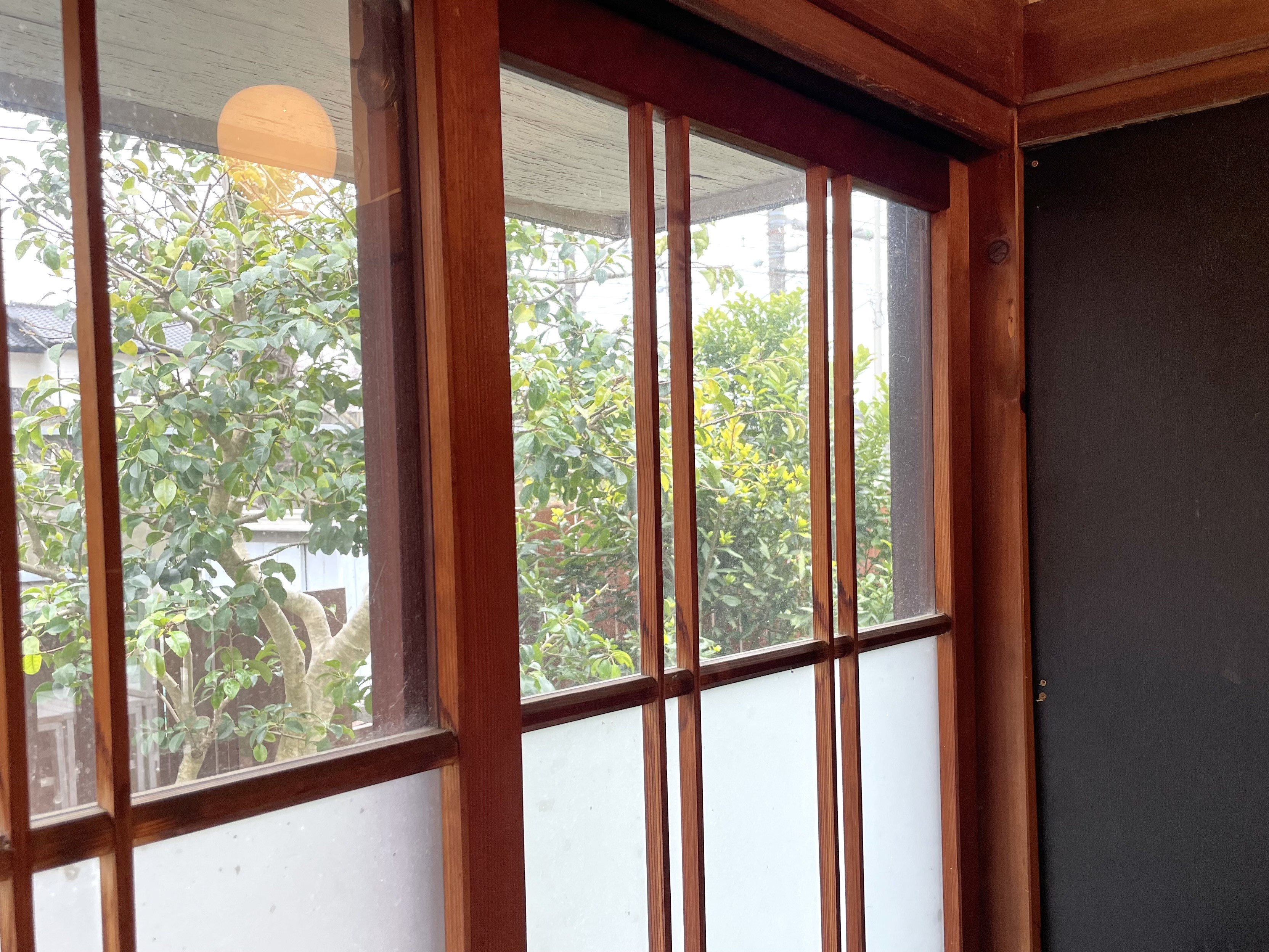 本日は貸切りです