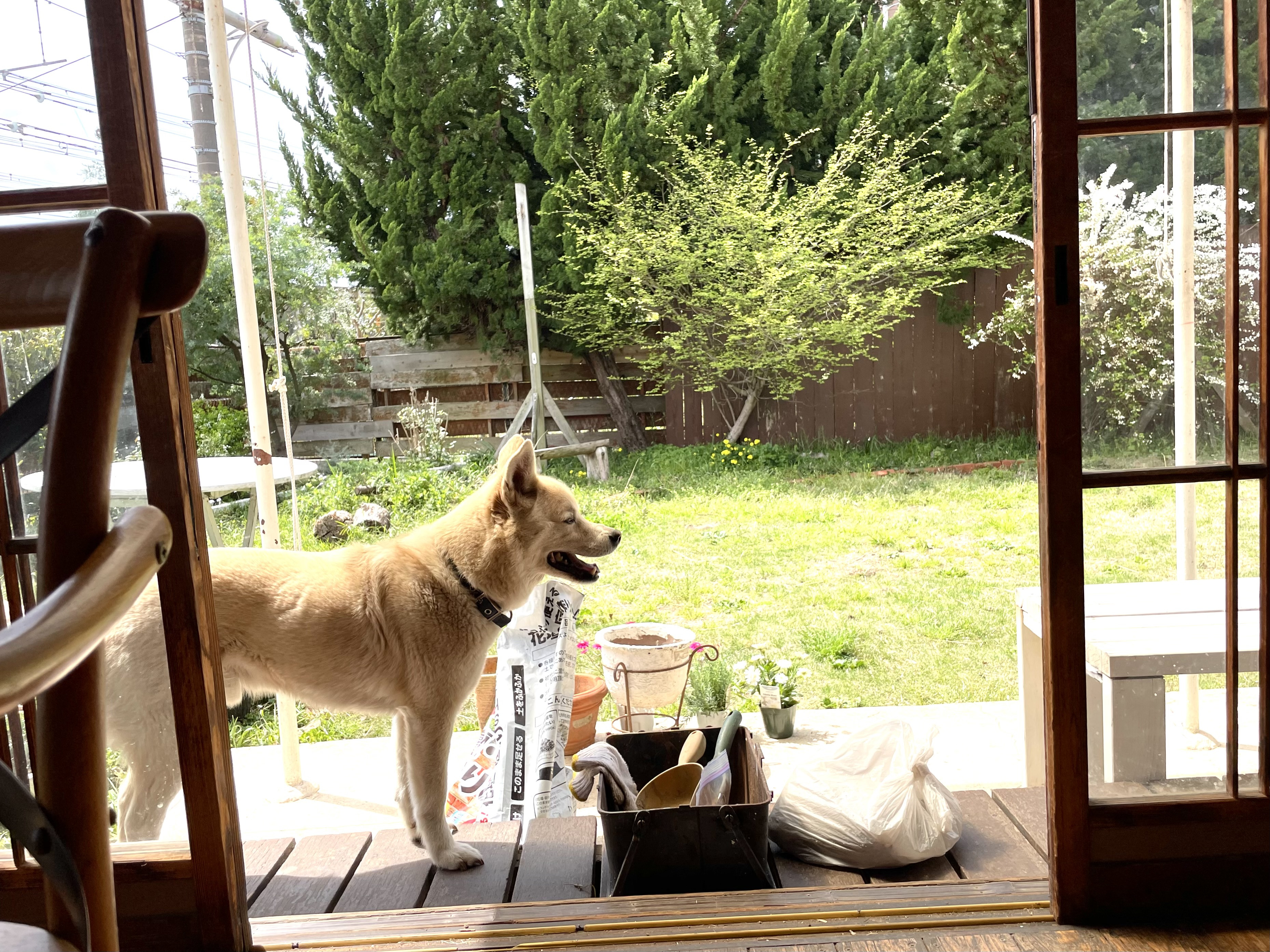 お店の前の寄植えを…