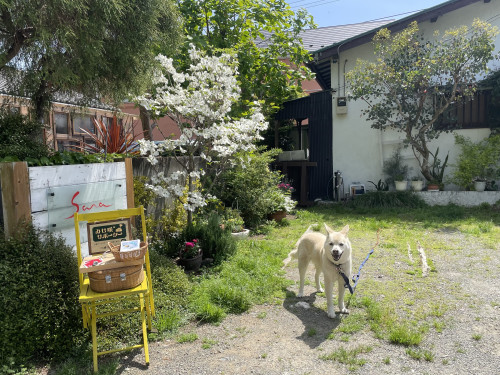 店まえでは…。