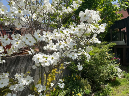 週末土曜日も…