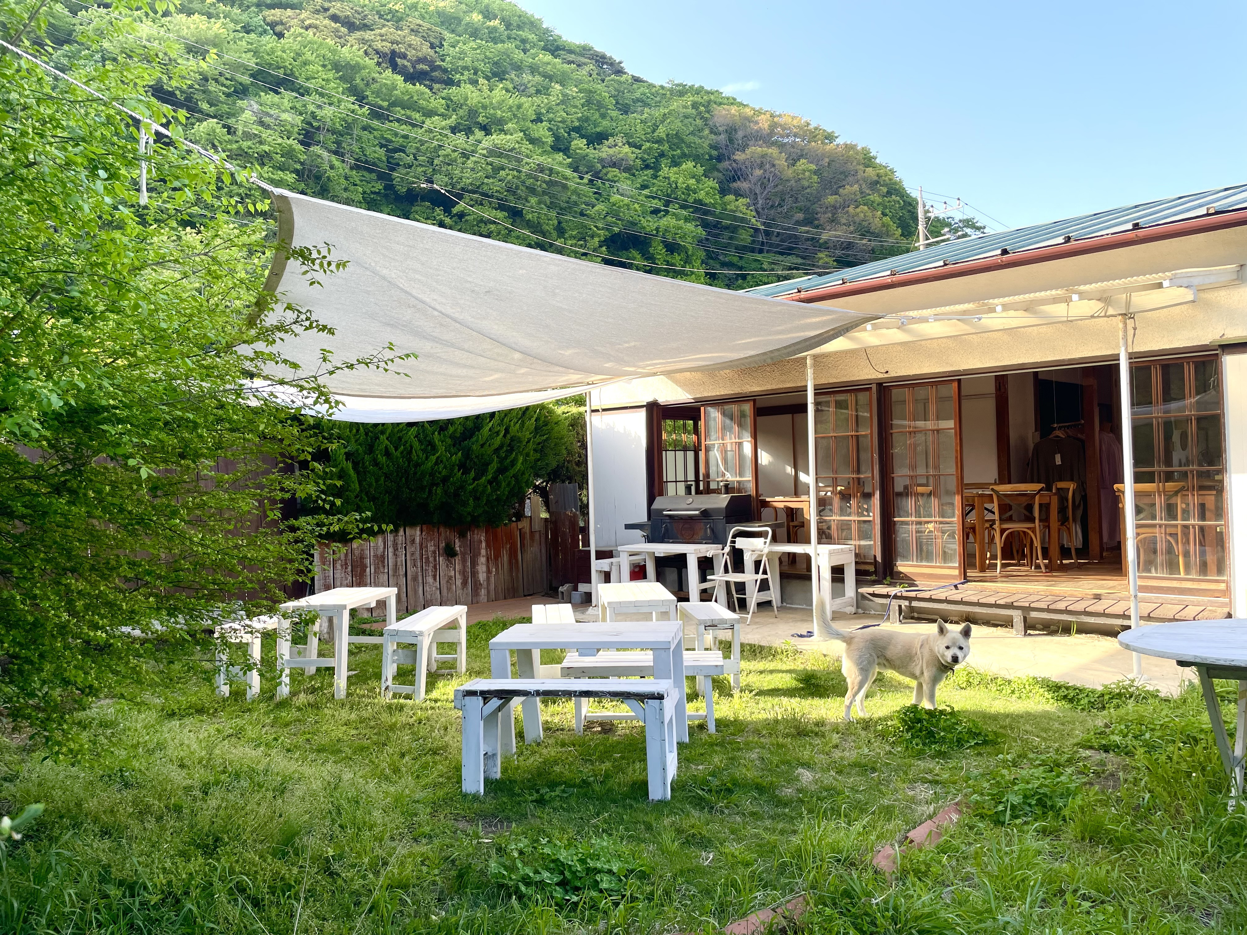 【明日日曜日営業します！】