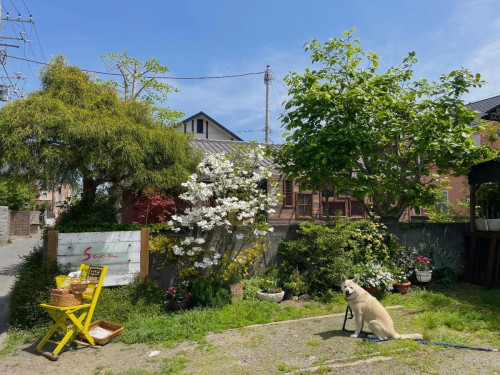 日曜日ですがopenしてます！