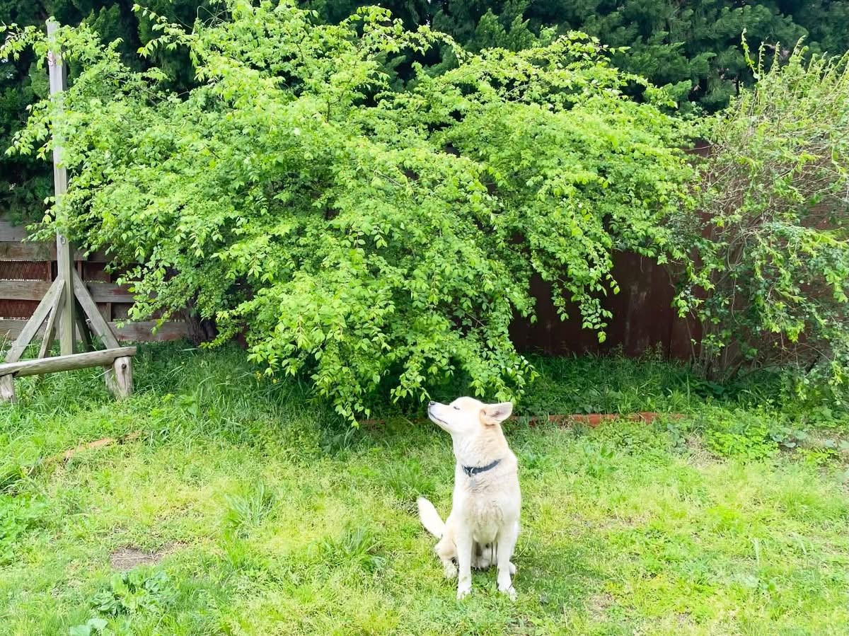 雨もやんで…。