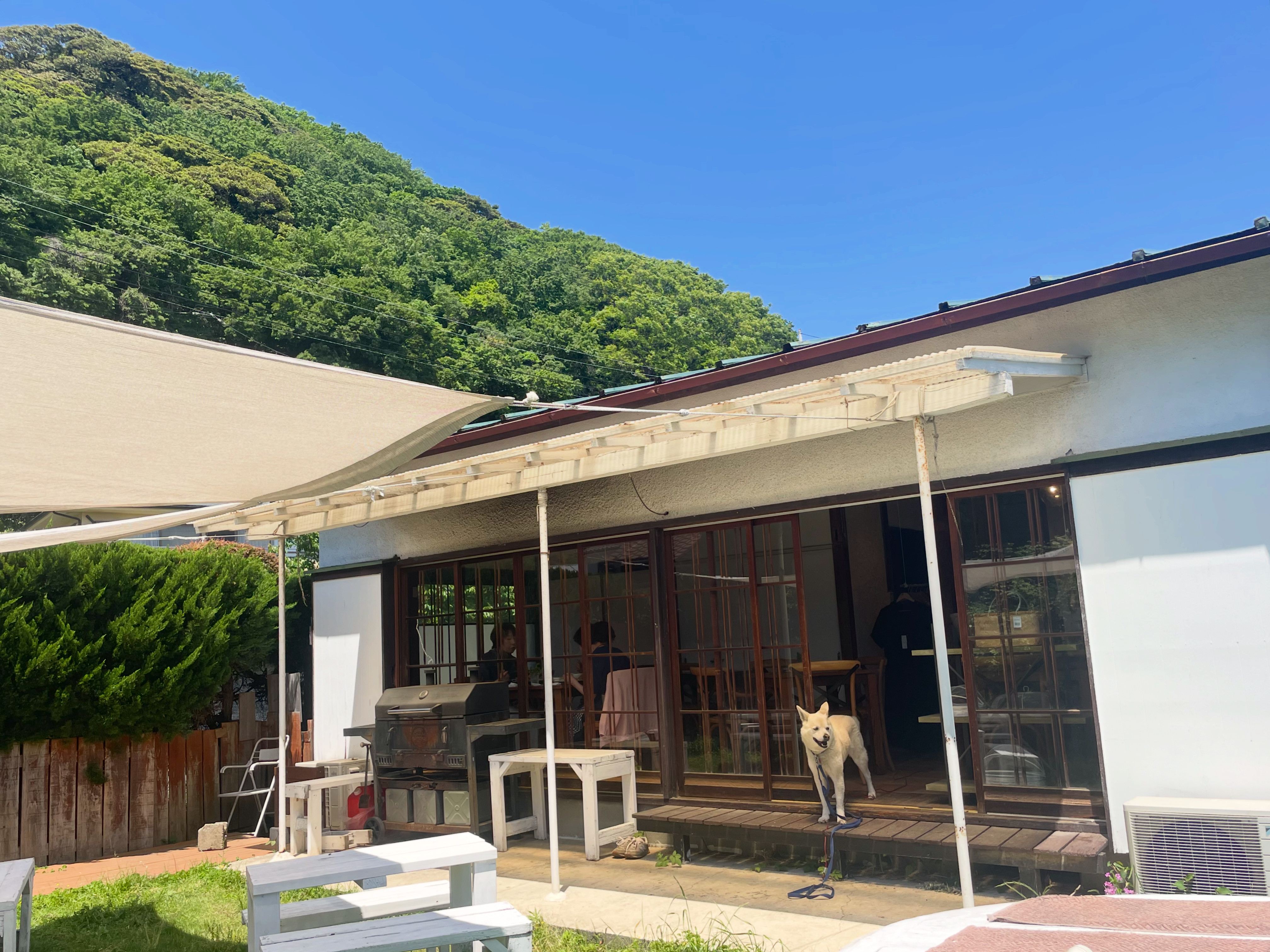 気持ち良く晴れましたね！