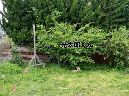 【明日から土曜日まで営業します】