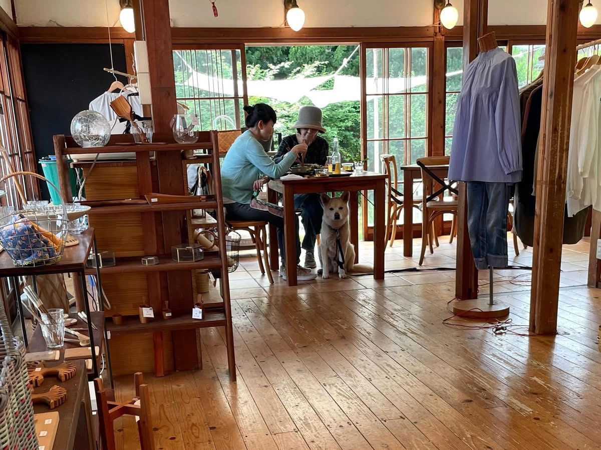 机の下でお仕事ちゅう。