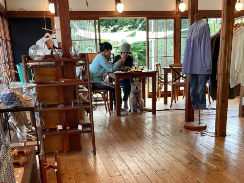 机の下でお仕事ちゅう。