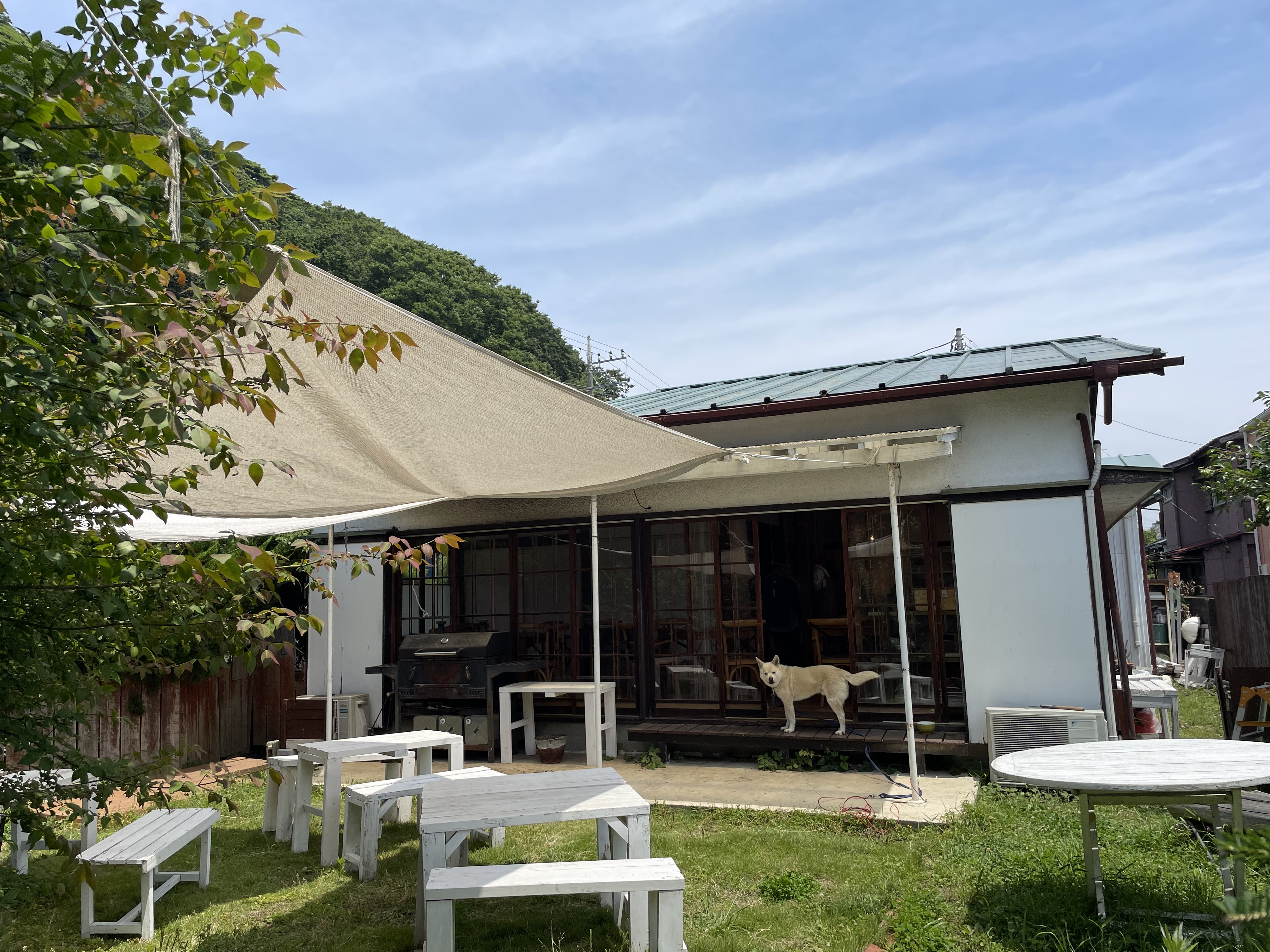 気持ち良く晴れました♩