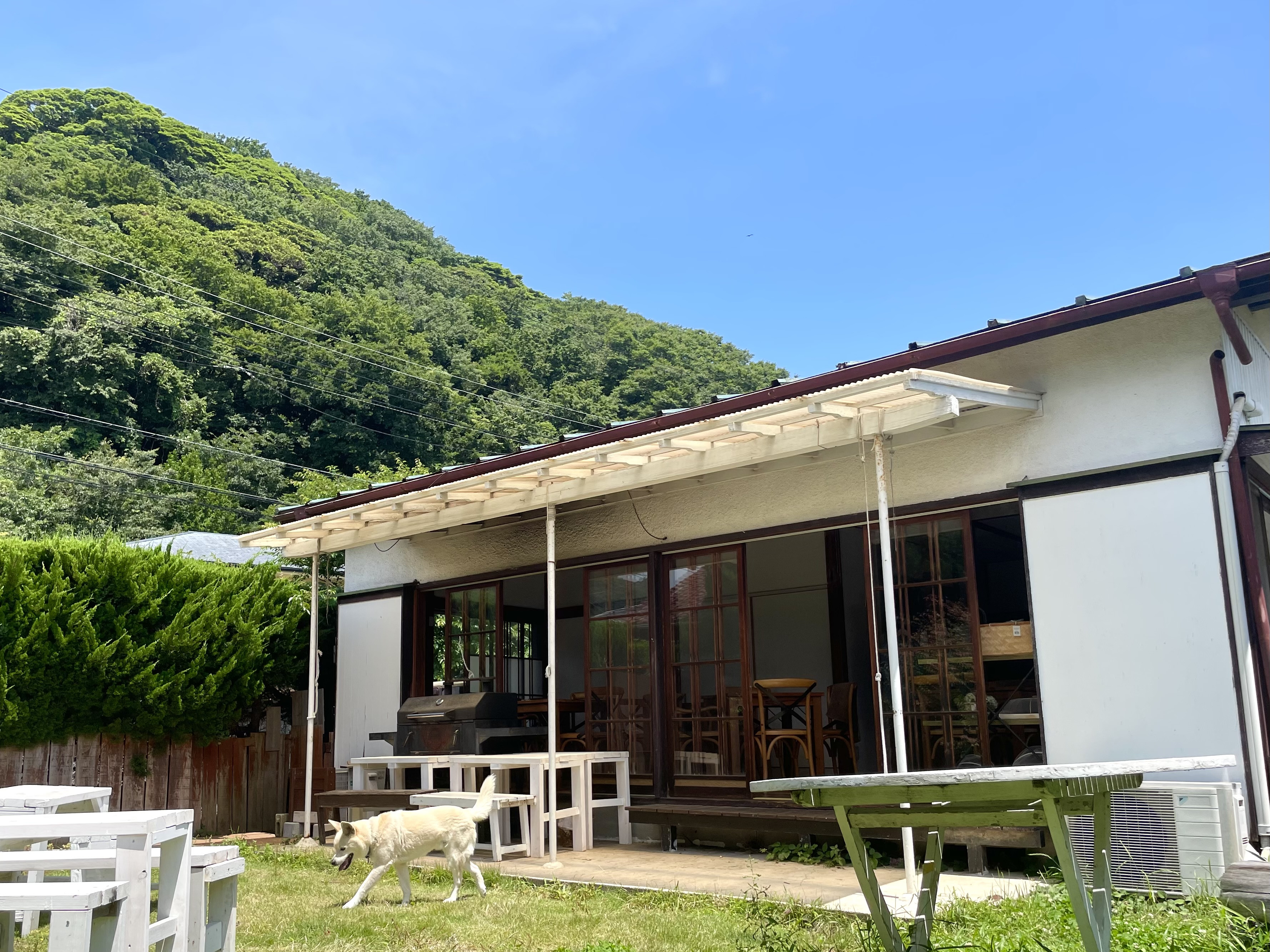 雲ひとつない青空です！
