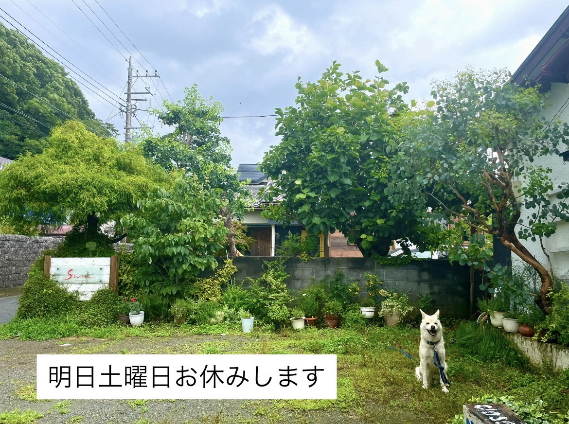 D52C4C3A-B2F1-49AA-9A30-BD87E022D84B.jpeg