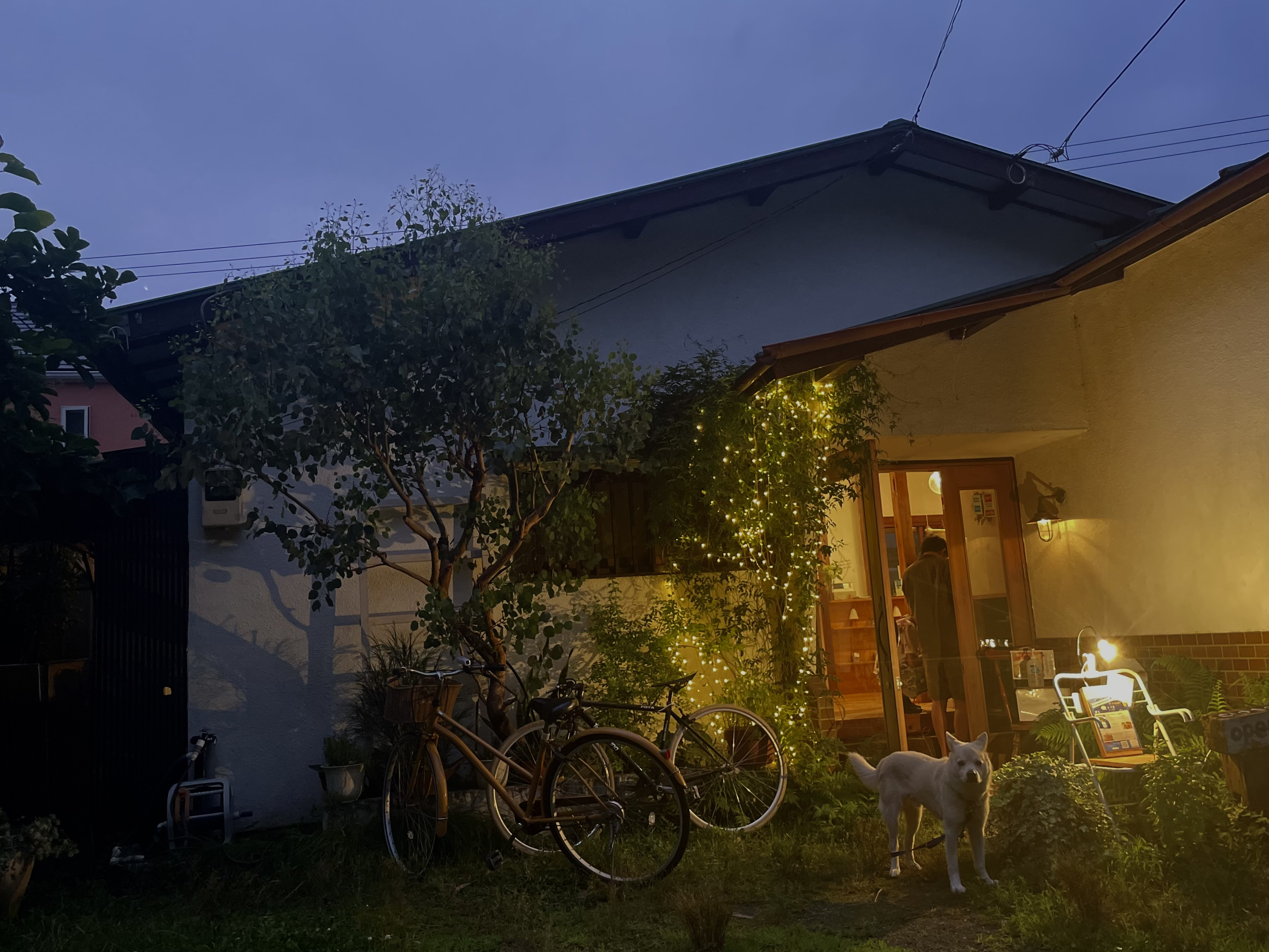 サラnight 2026summer】  ラオス食堂  （金曜日、土曜日18:00〜開店）