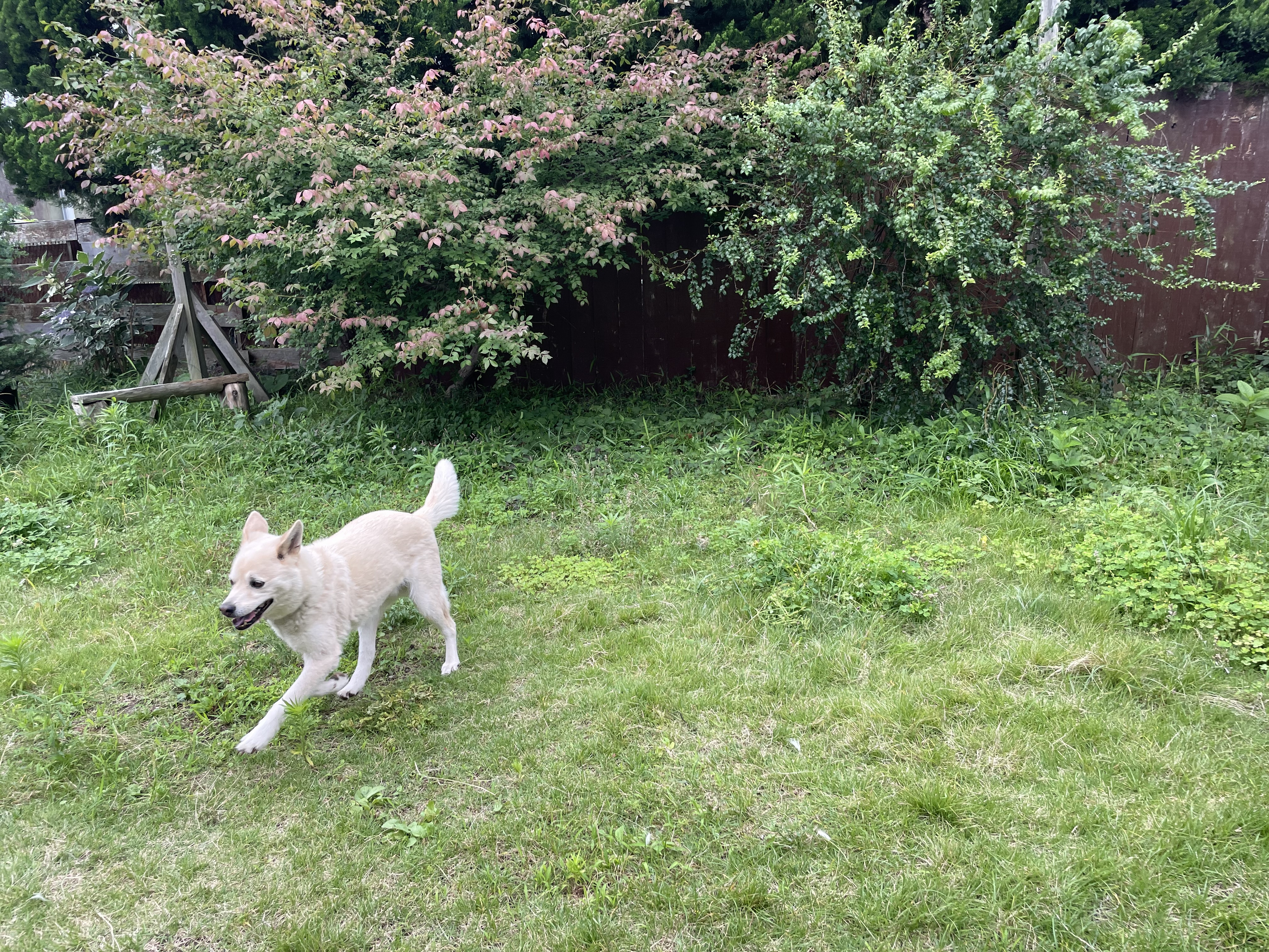 IMG_3680.jpeg